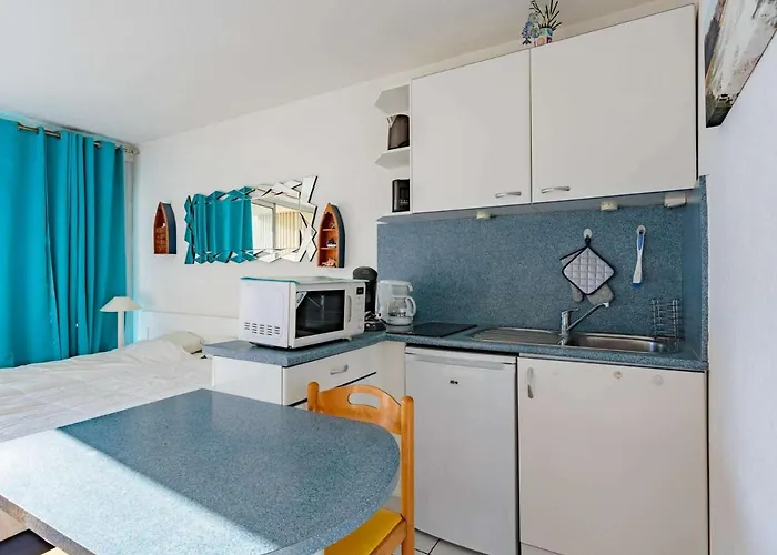 En Centre-ville Avec Piscine Proche Grande - Fr-1-3-410